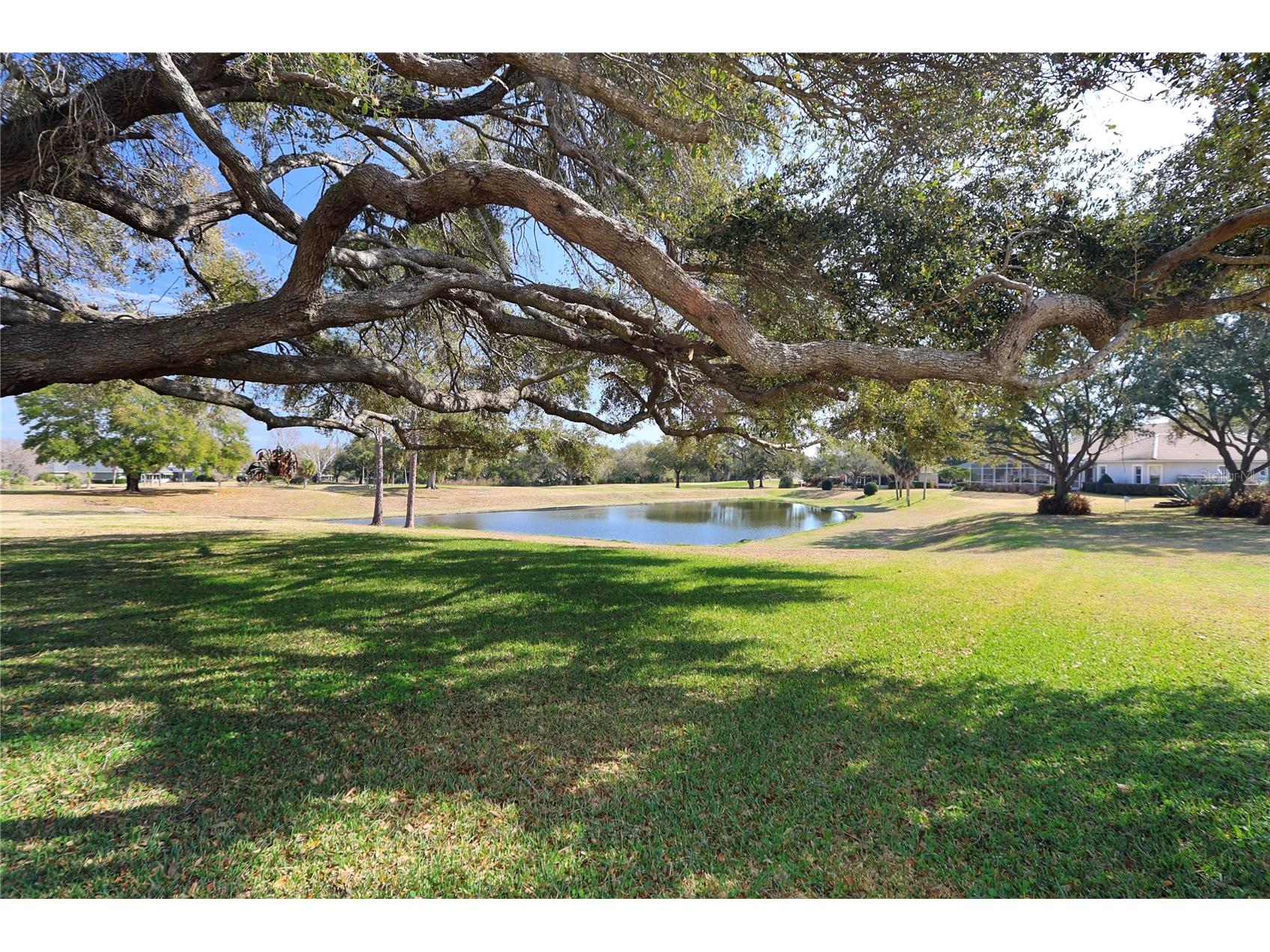 39644 Harbor Hills Boulevard Lady Lake FL 32159 OM719222 image45