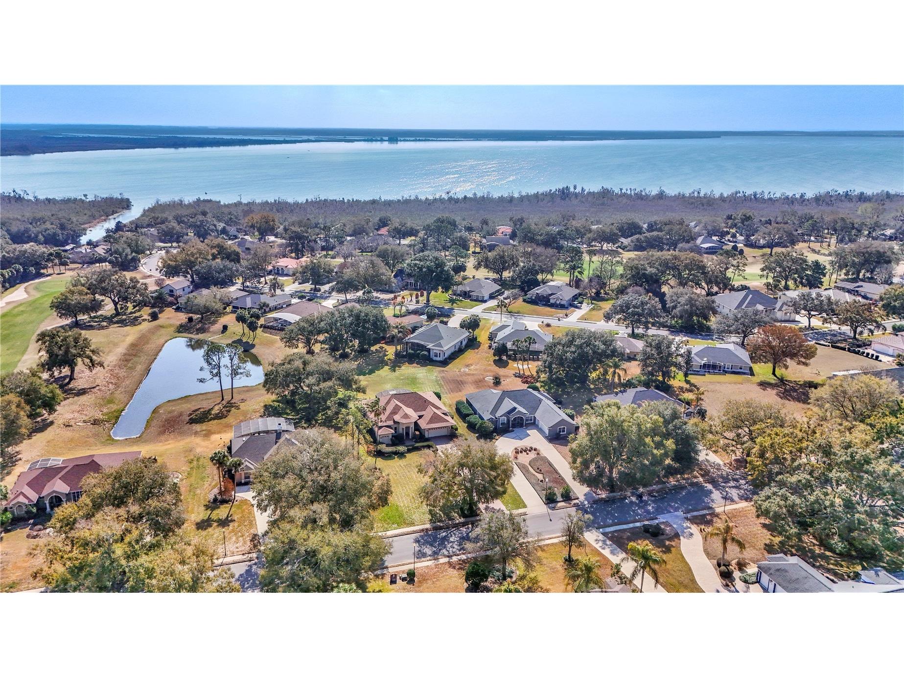 39644 Harbor Hills Boulevard Lady Lake FL 32159 OM719222 image48