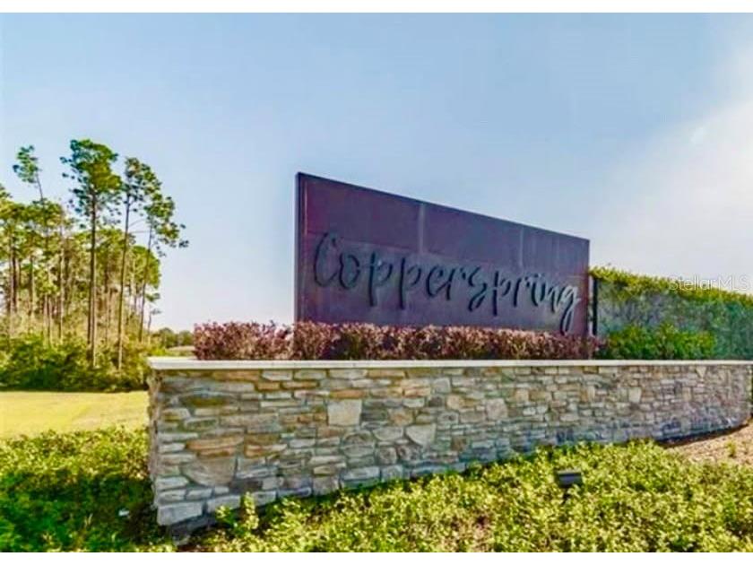 3965 Hanover Drive New Port Richey FL 34653 TB8416877 image51