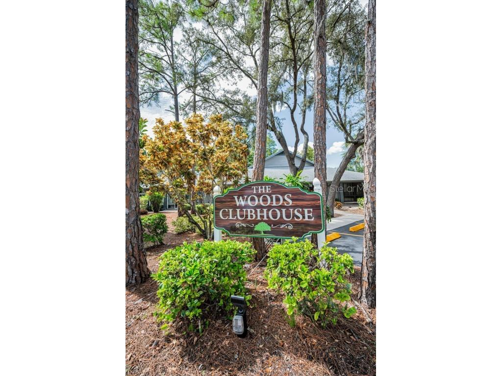 39650 Us Highway 19 N #1012 Tarpon Springs FL 34689 TB8438587 image55