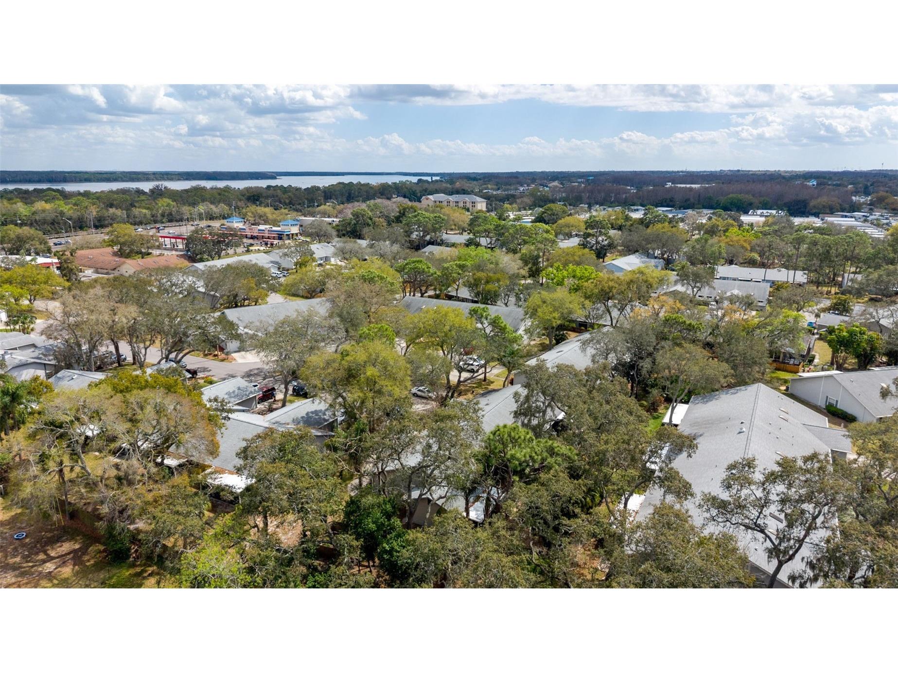 39650 Us Highway 19 N #141 Tarpon Springs FL 34689 TB8482827 image29