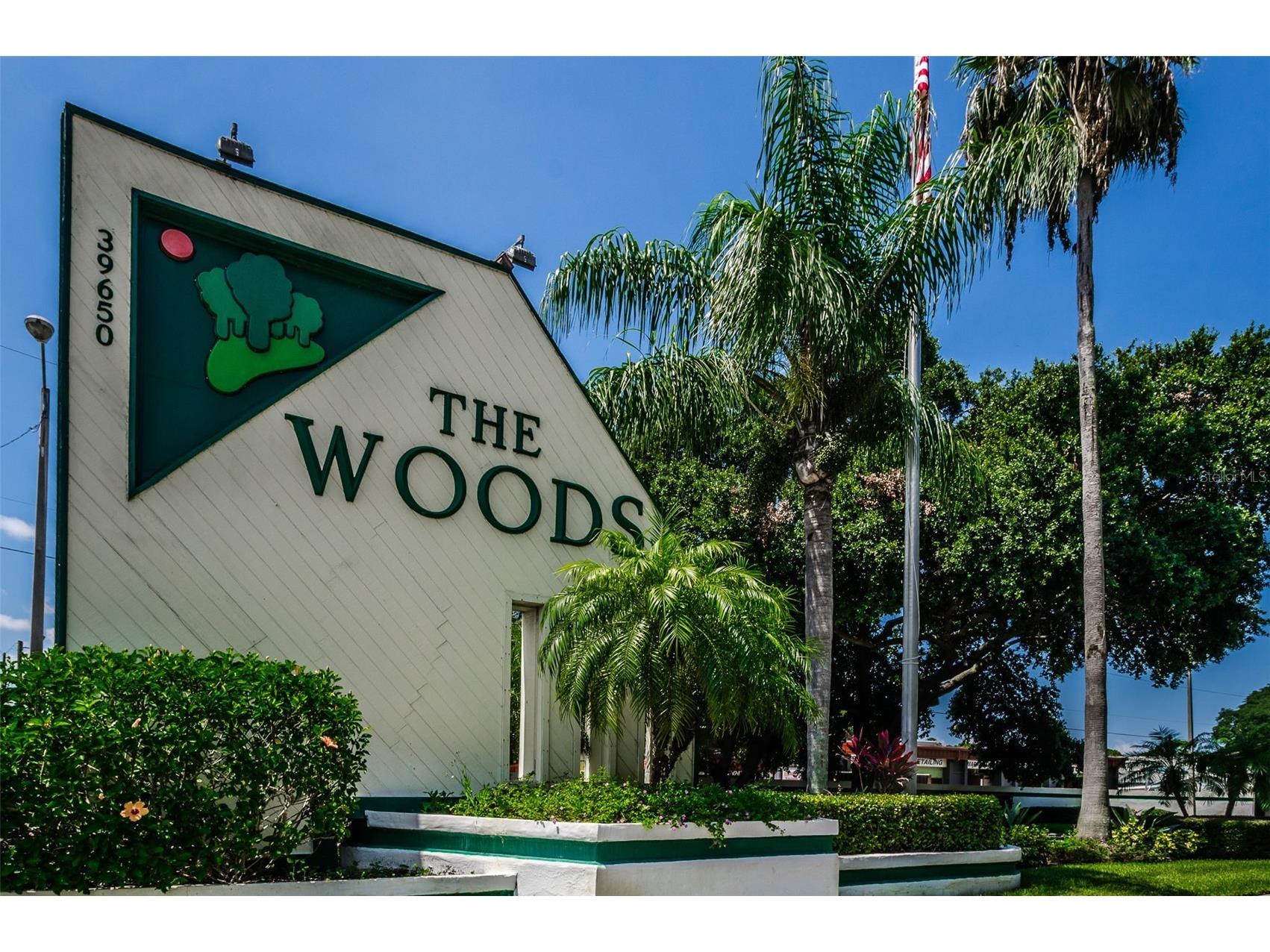 39650 Us Highway 19 N #1511 Tarpon Springs FL 34689 TB8475590 image29