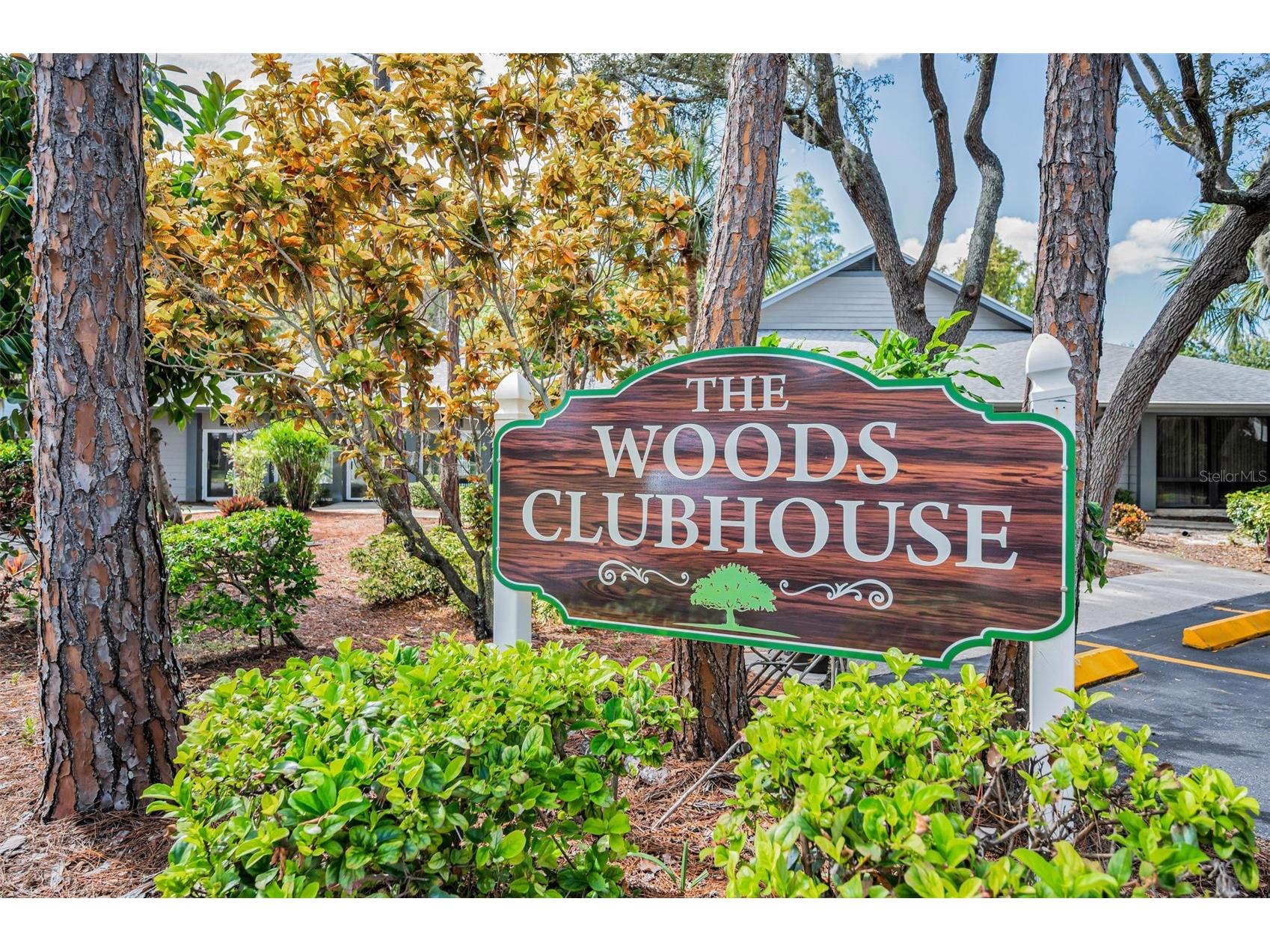 39650 Us Highway 19 N #1511 Tarpon Springs FL 34689 TB8475590 image30