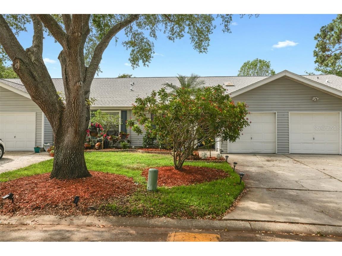 39650 Us Highway 19 N #1515 Tarpon Springs FL 34689 U8197237 image1