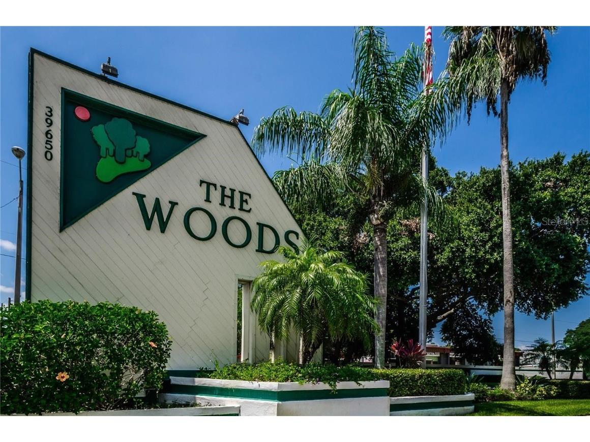 39650 Us Highway 19 N #171 Tarpon Springs FL 34689 U8195207 image1