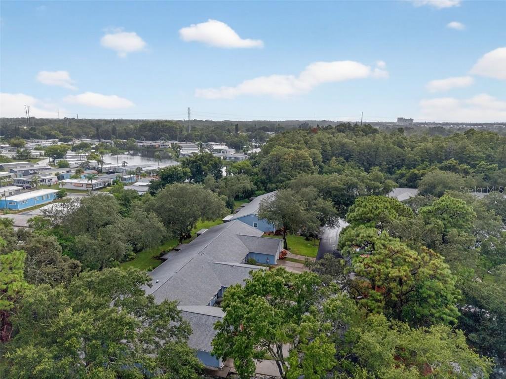 39650 Us Highway 19 N #565 Tarpon Springs FL 34689 TB8420057 image59