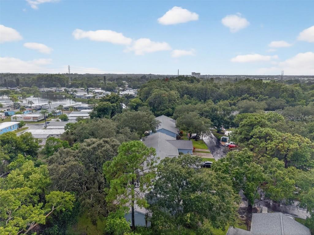 39650 Us Highway 19 N #565 Tarpon Springs FL 34689 TB8420057 image60