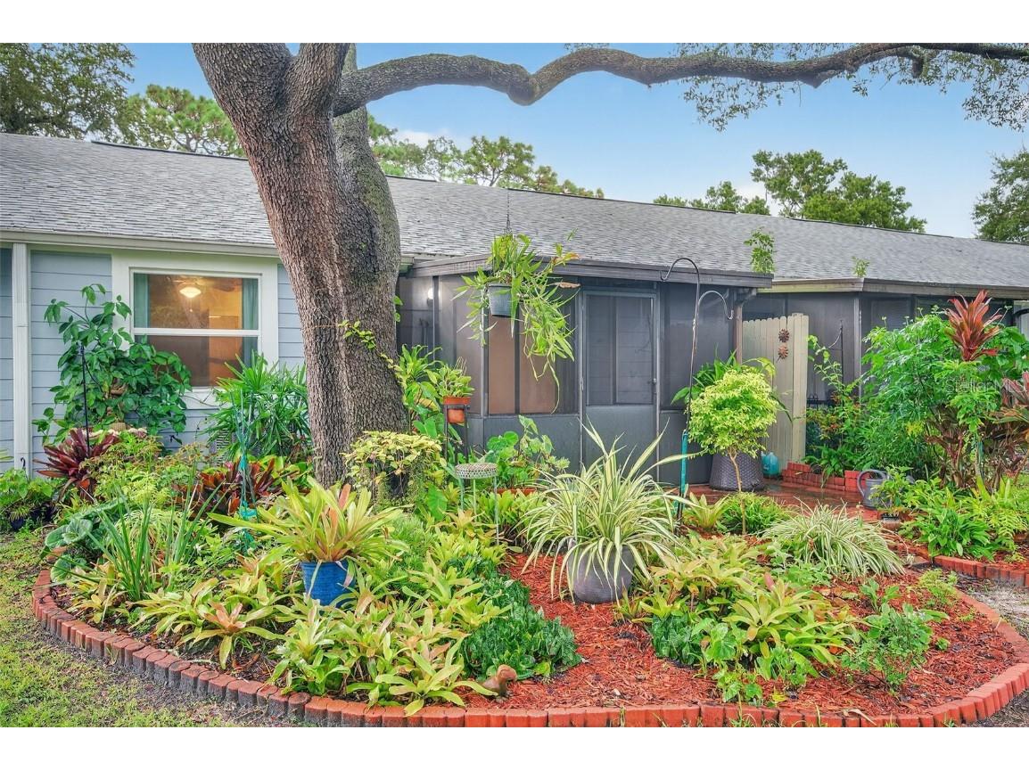 39650 Us Highway 19 N #565 Tarpon Springs FL 34689 TB8420057 image66