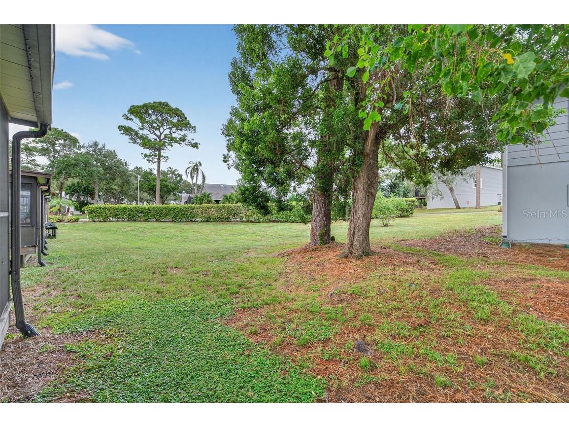 39650 Us Highway 19 N #584 Tarpon Springs FL 34689 TB8414706 image45