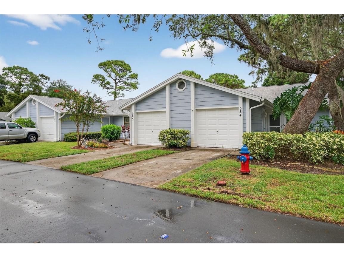 39650 Us Highway 19 N #584 Tarpon Springs FL 34689 TB8414706 image46