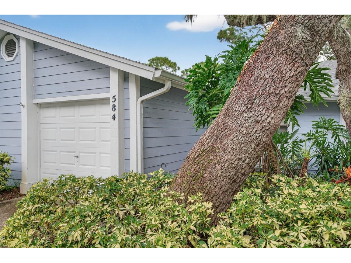 39650 Us Highway 19 N #584 Tarpon Springs FL 34689 TB8414706 image48