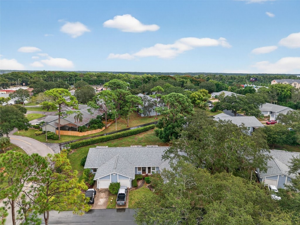 39650 Us Highway 19 N #584 Tarpon Springs FL 34689 TB8414706 image49