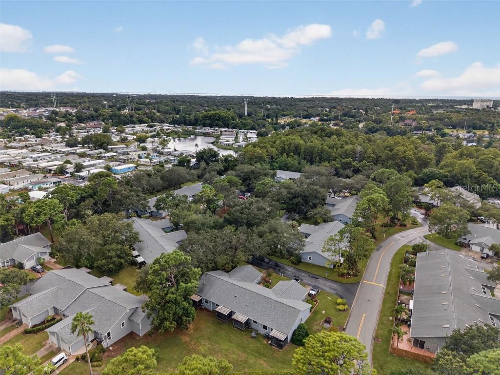 39650 Us Highway 19 N #584 Tarpon Springs FL 34689 TB8414706 image63