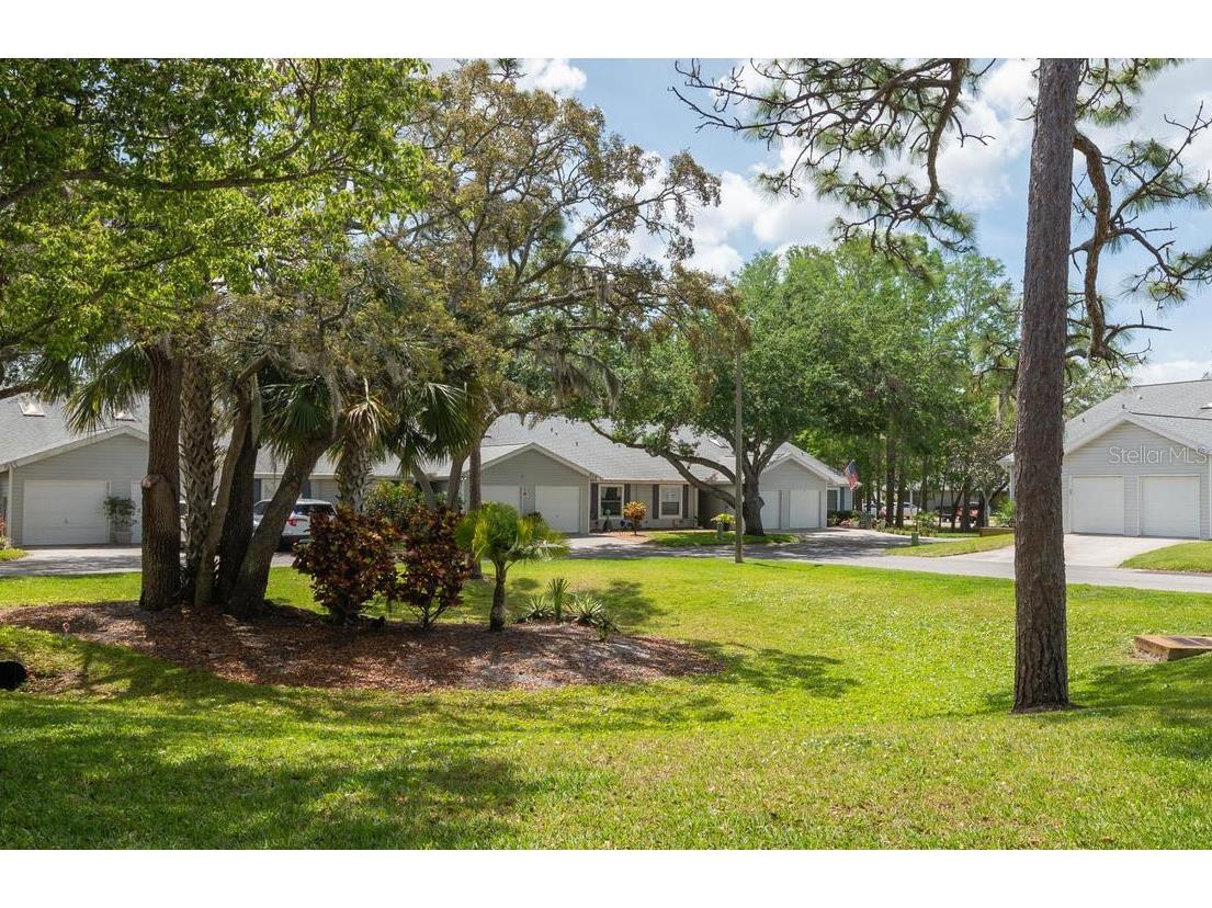 39650 Us Highway 19 N #615 Tarpon Springs FL 34689 TB8363625 image1