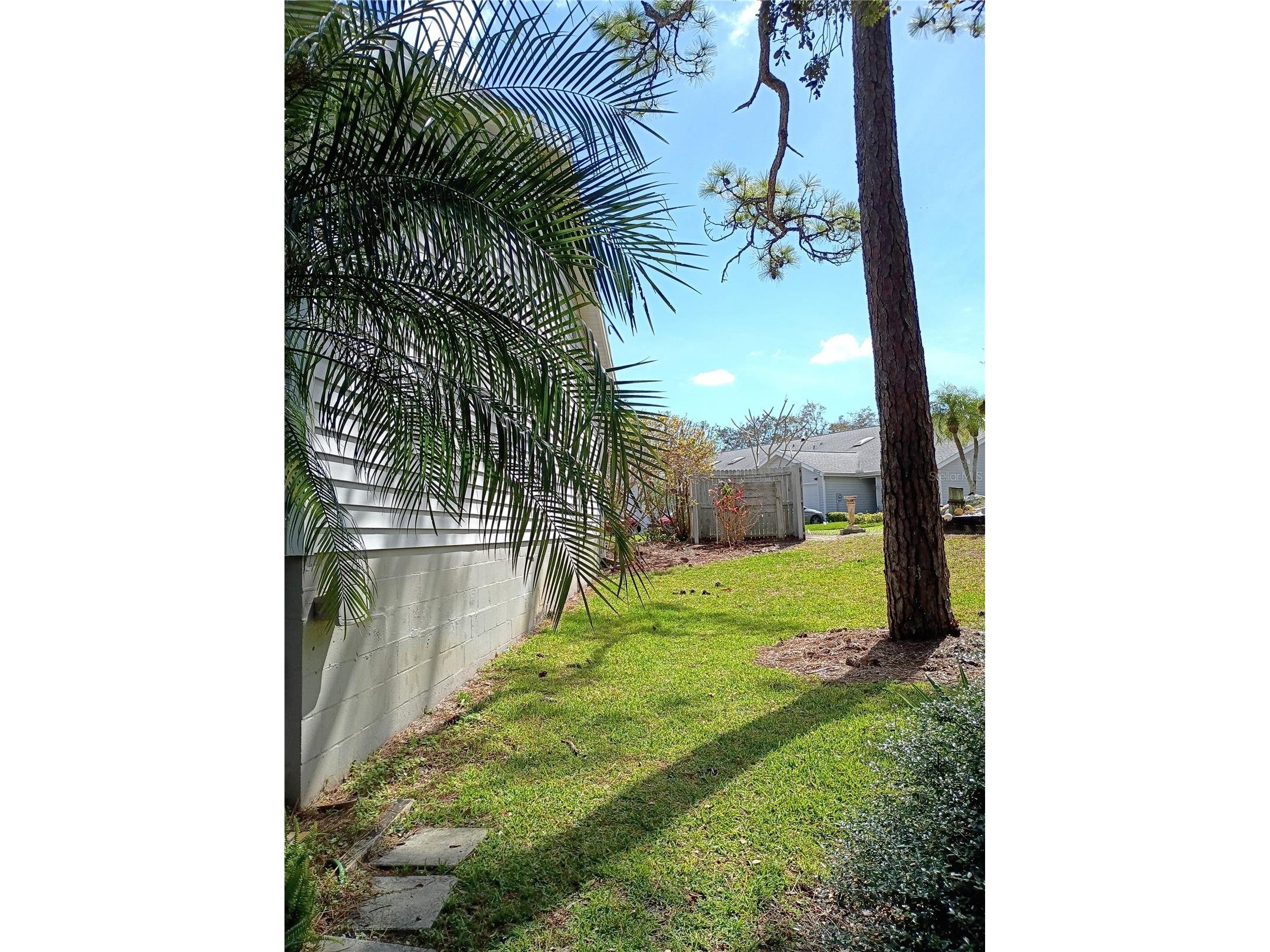 39650 Us Highway 19 N #631 Tarpon Springs FL 34689 TB8487497 image46