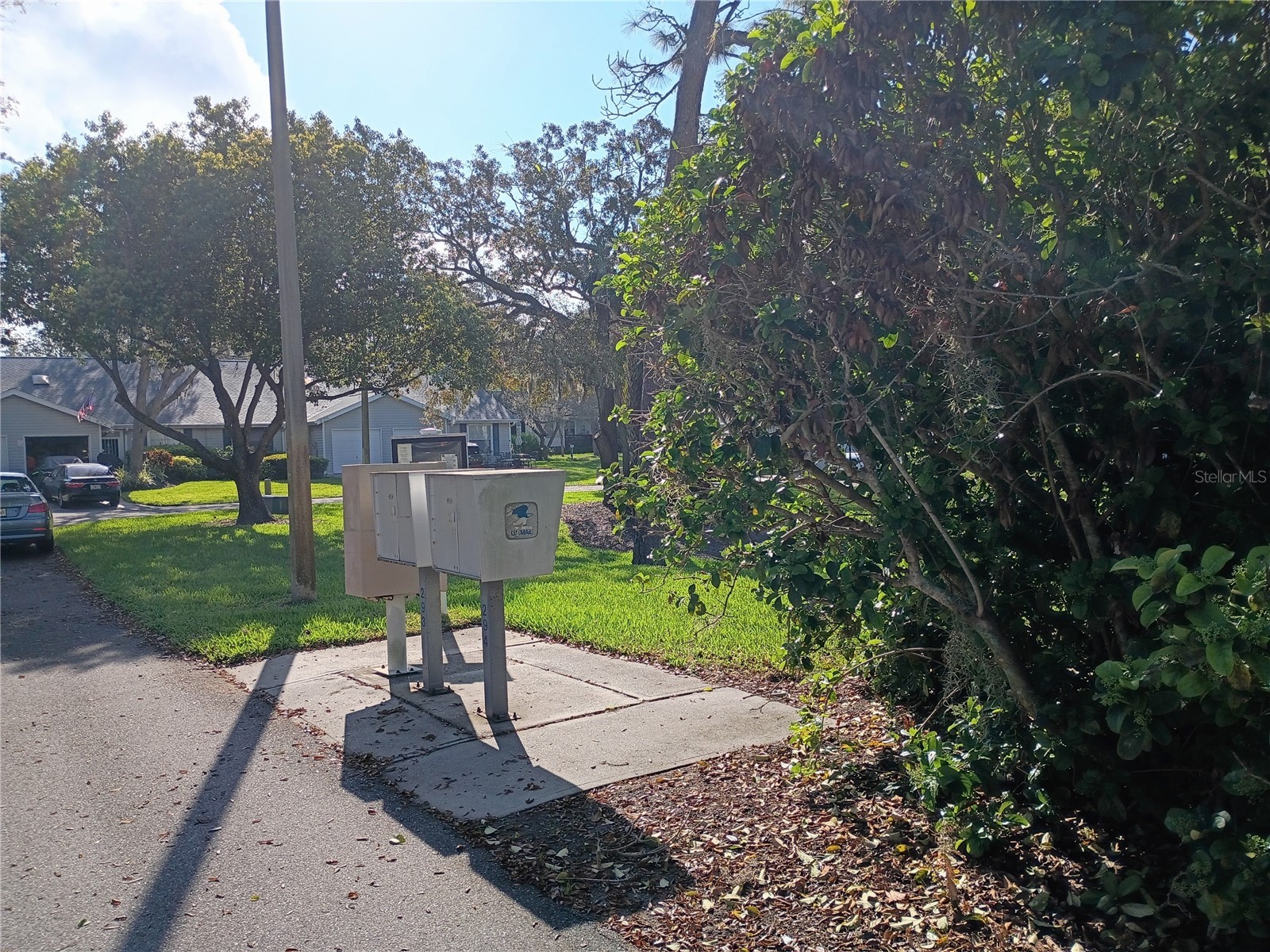 39650 Us Highway 19 N #631 Tarpon Springs FL 34689 TB8487497 image51