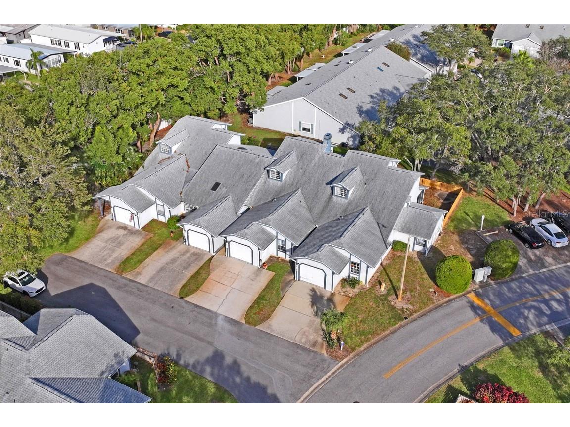 39650 Us Highway 19 N #912 Tarpon Springs FL 34689 TB8448681 image45