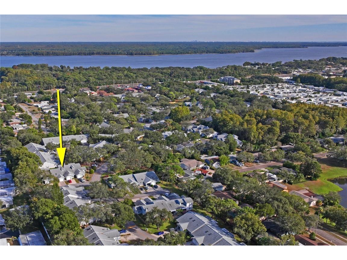 39650 Us Highway 19 N #912 Tarpon Springs FL 34689 TB8448681 image47