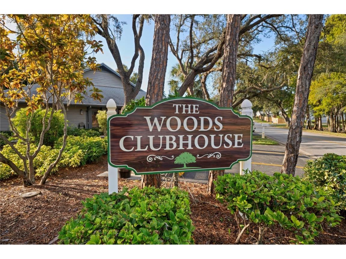 39650 Us Highway 19 N #912 Tarpon Springs FL 34689 TB8448681 image49