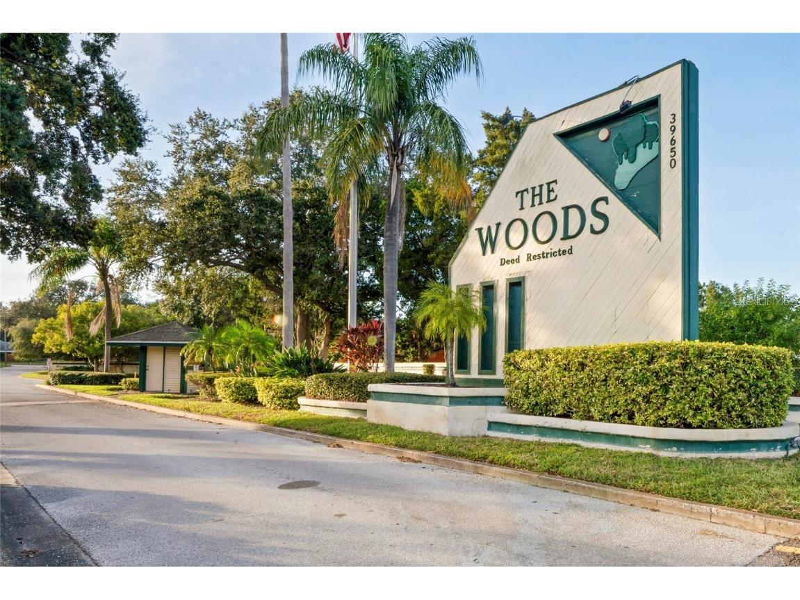 39650 Us Highway 19 N #912 Tarpon Springs FL 34689 TB8448681 image59