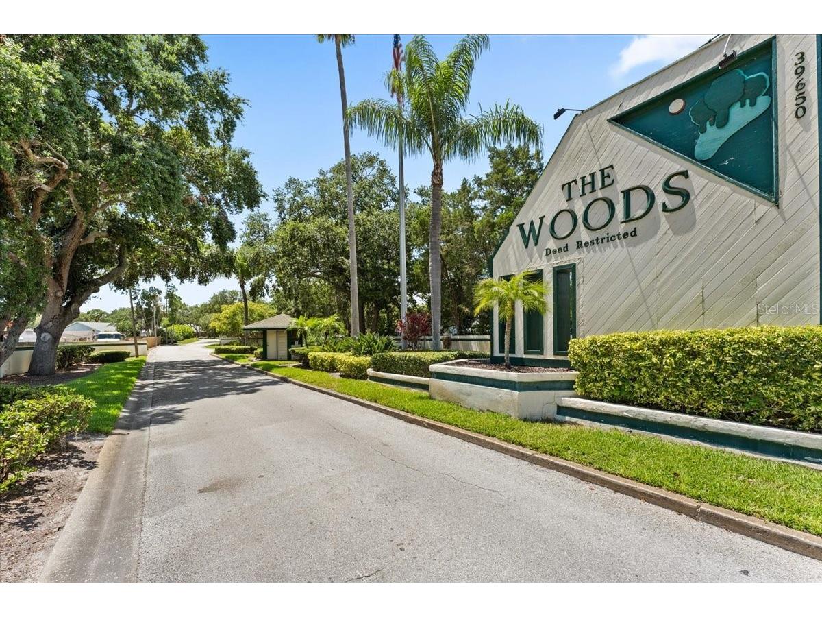 39650 Us Hwy 19 N #573 Tarpon Springs FL 34689 TB8517009 image28