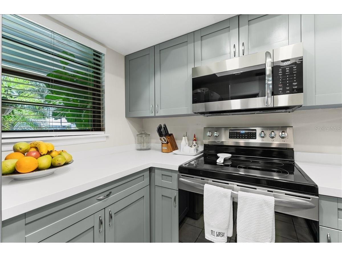 39650 Us Hwy 19 N #573 Tarpon Springs FL 34689 TB8517009 image8