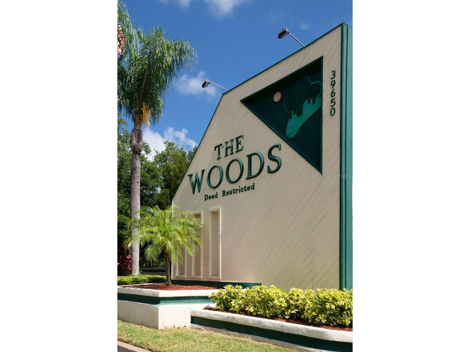 39650 Us Hwy 19 N #833 Tarpon Springs FL 34689 TB8472477 image57