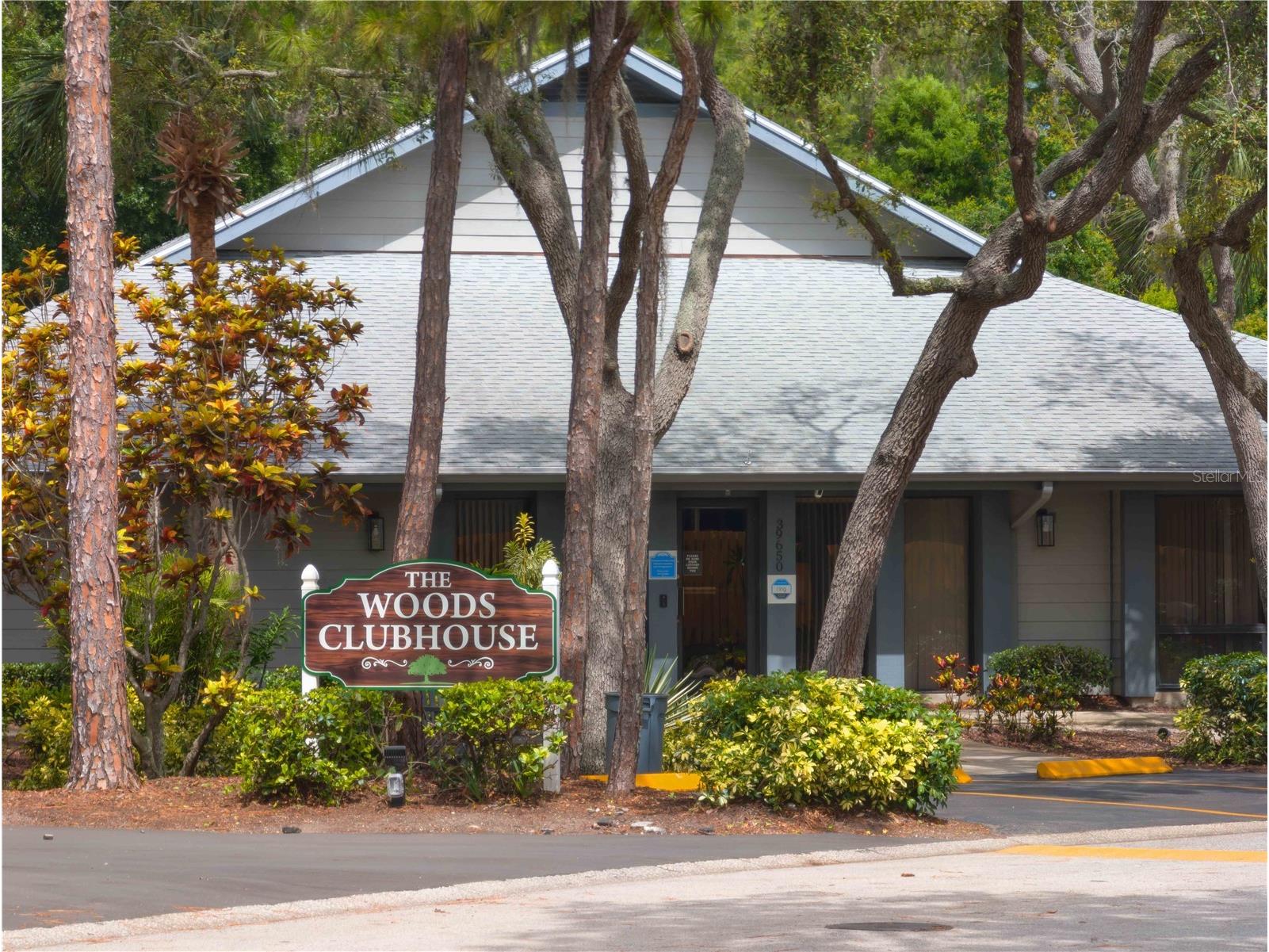 39650 Us Hwy 19 N #833 Tarpon Springs FL 34689 TB8472477 image59