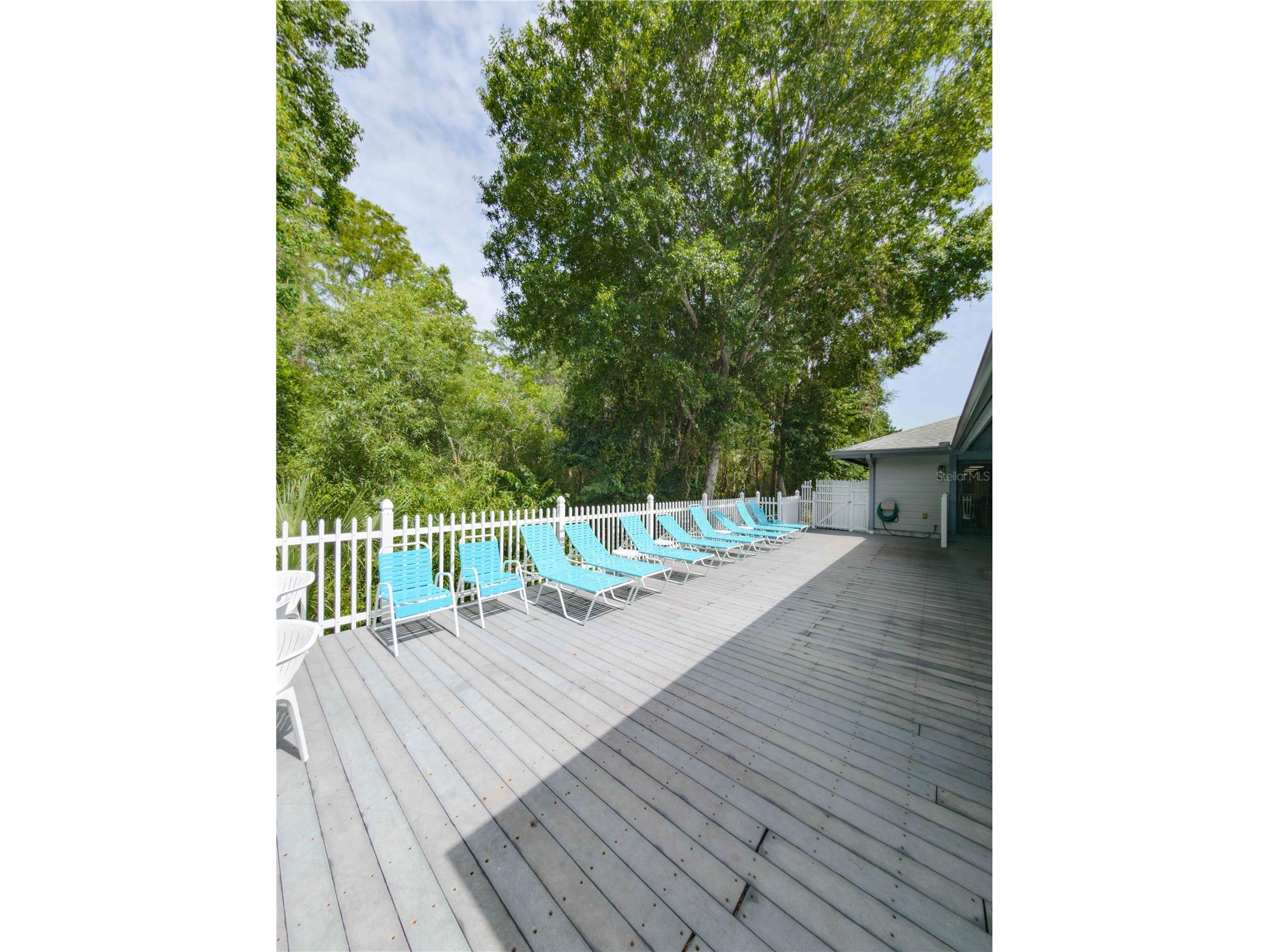 39650 Us Hwy 19 N #833 Tarpon Springs FL 34689 TB8472477 image61