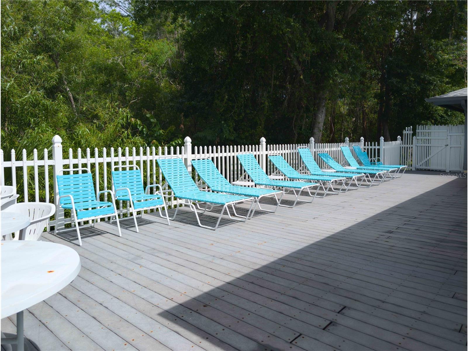 39650 Us Hwy 19 N #833 Tarpon Springs FL 34689 TB8472477 image62