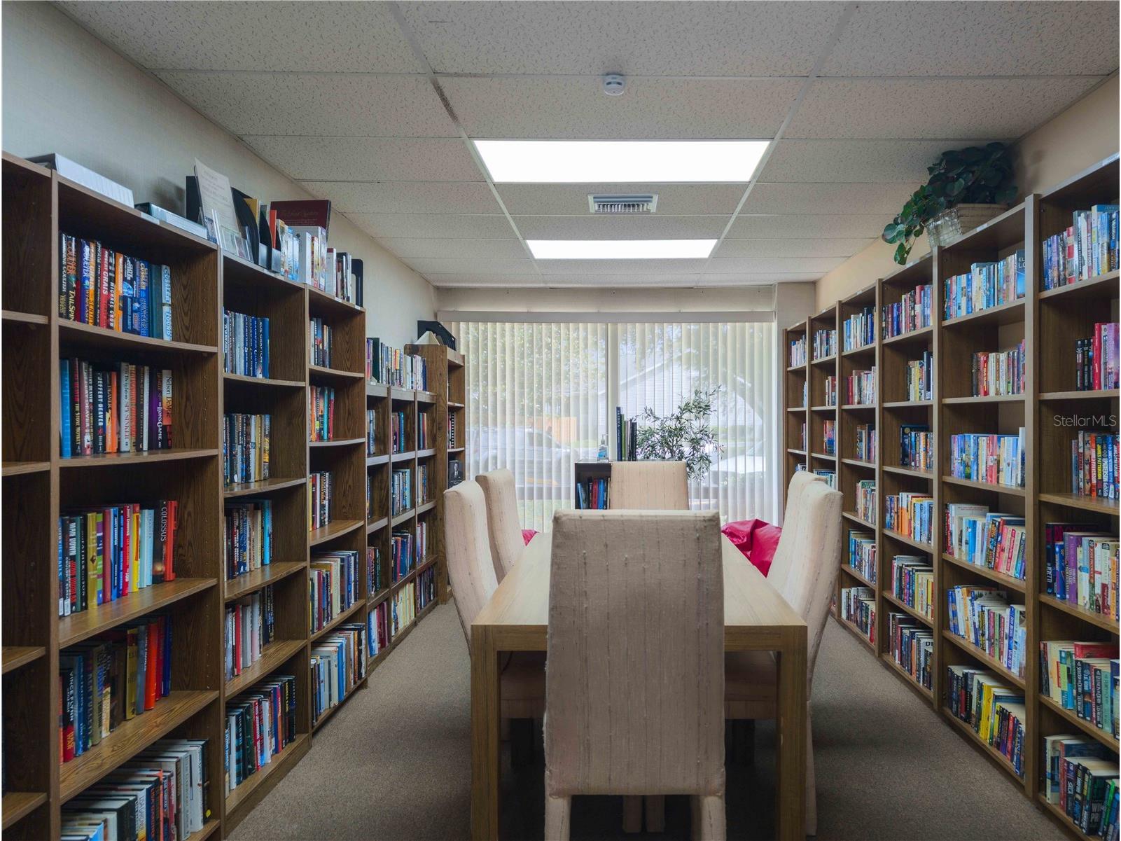39650 Us Hwy 19 N #833 Tarpon Springs FL 34689 TB8472477 image66