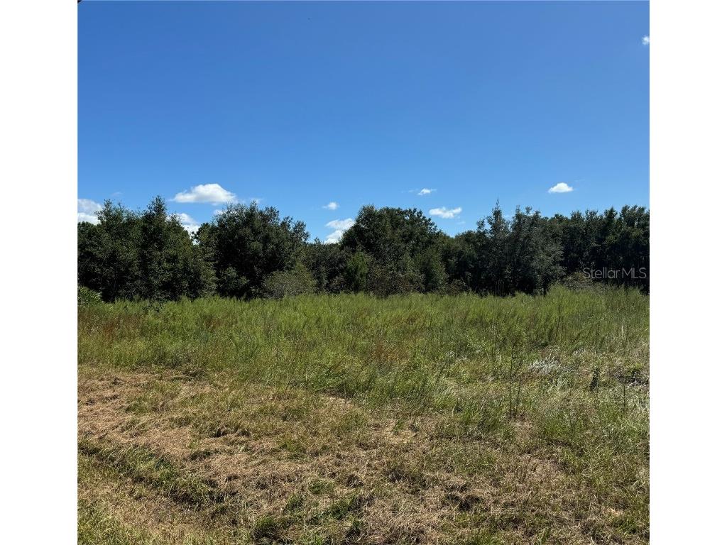 3966 E Bennett Street Inverness FL 34453 TB8310764 image1