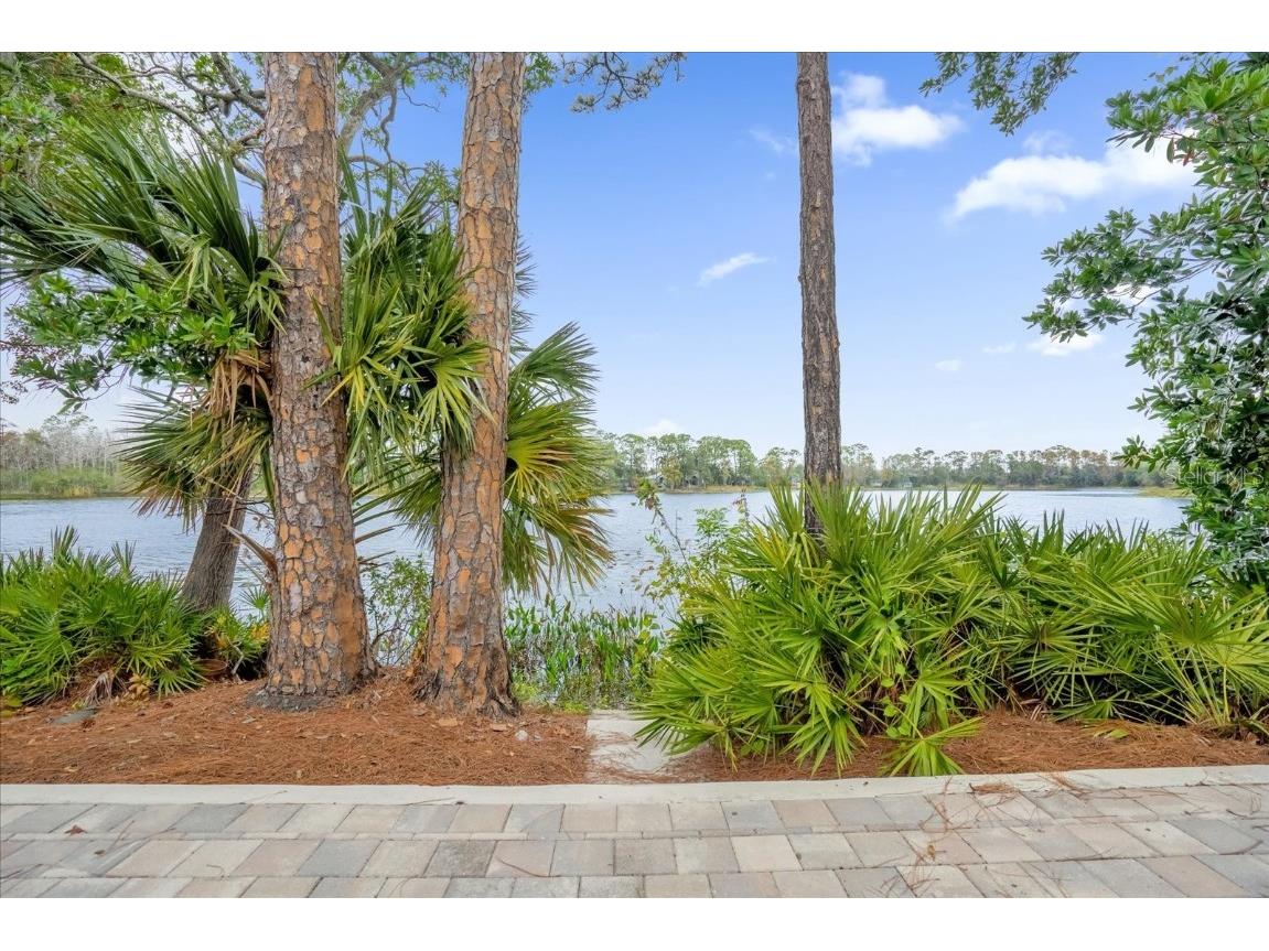 3966 Lake Mira Drive Orlando FL 32817 O6265478 image28