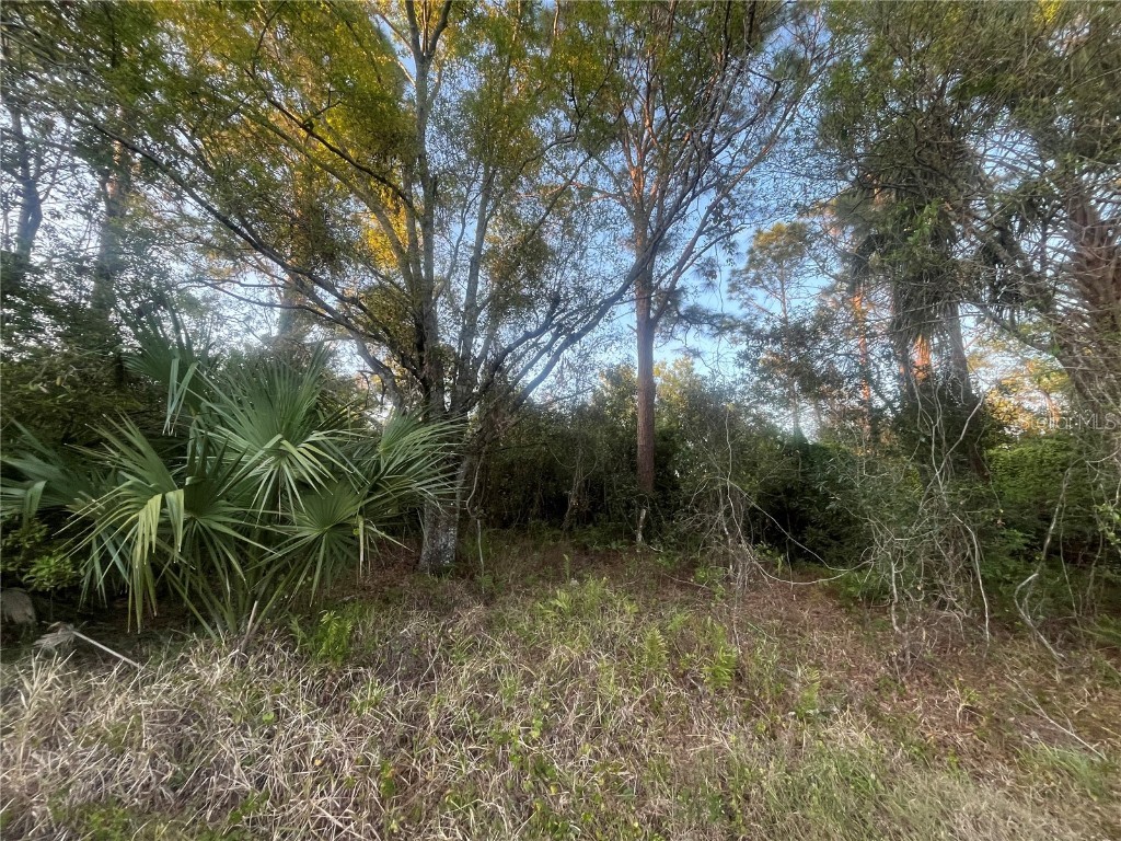 3966 NW 24th Avenue Okeechobee FL 34972 OK224935 image1