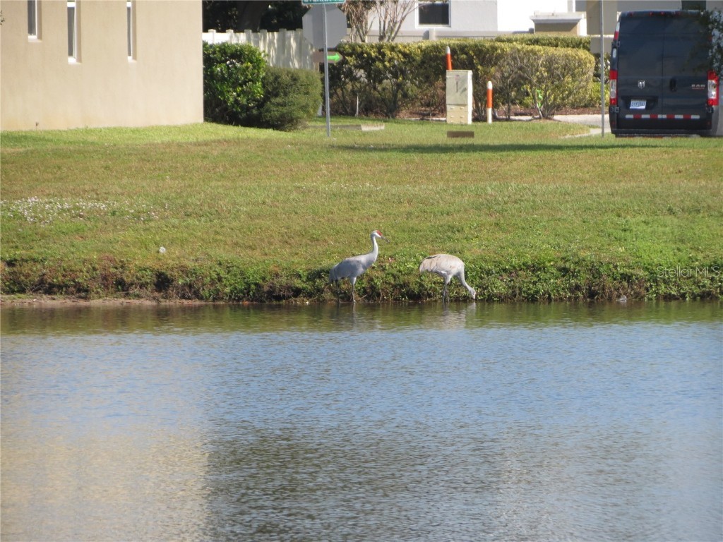 3968 Eternity Circle Saint Cloud FL 34772 O6361357 image28