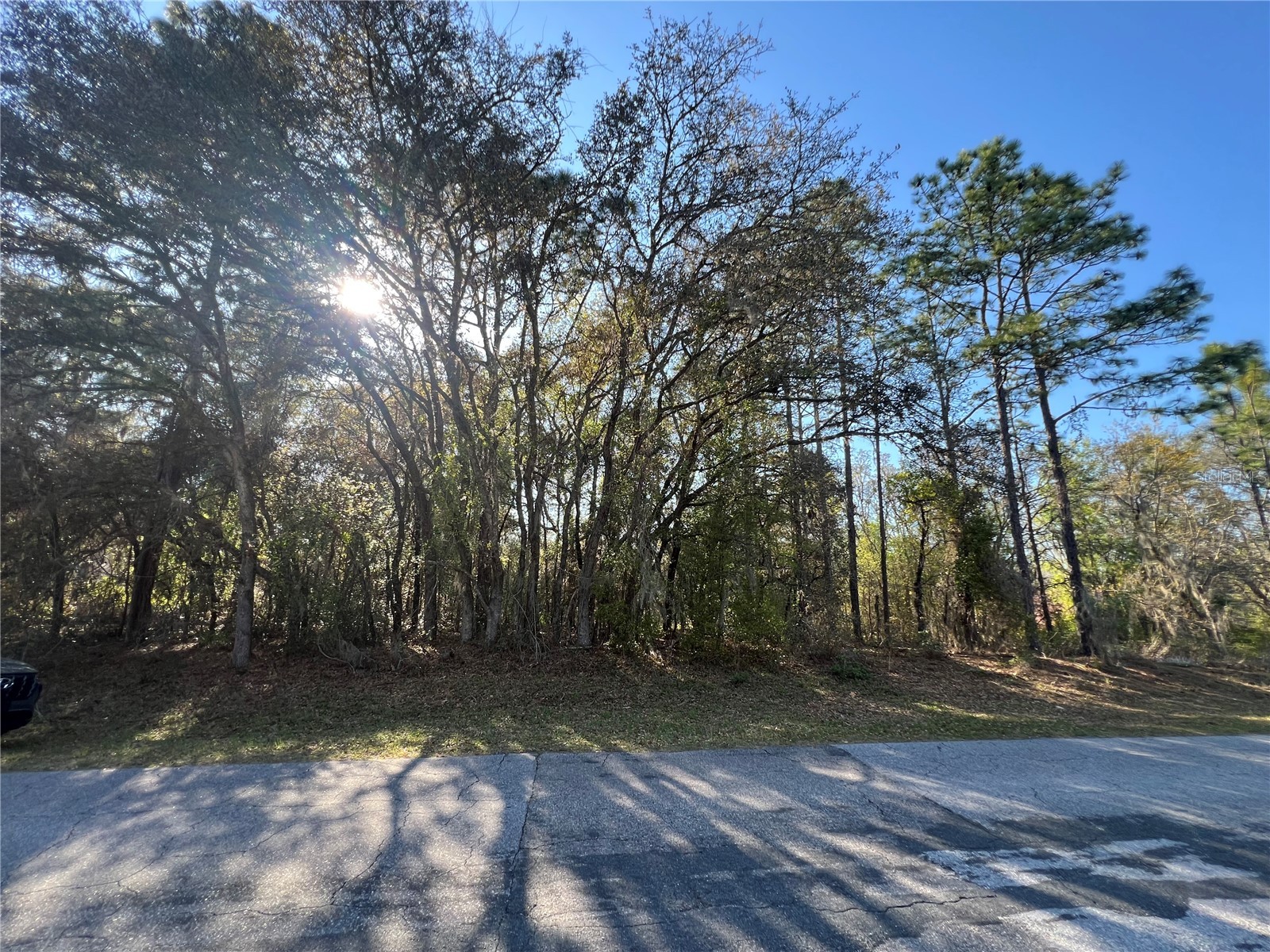 3968 N Indianhead Road Hernando FL 34442 TB8490146 image1