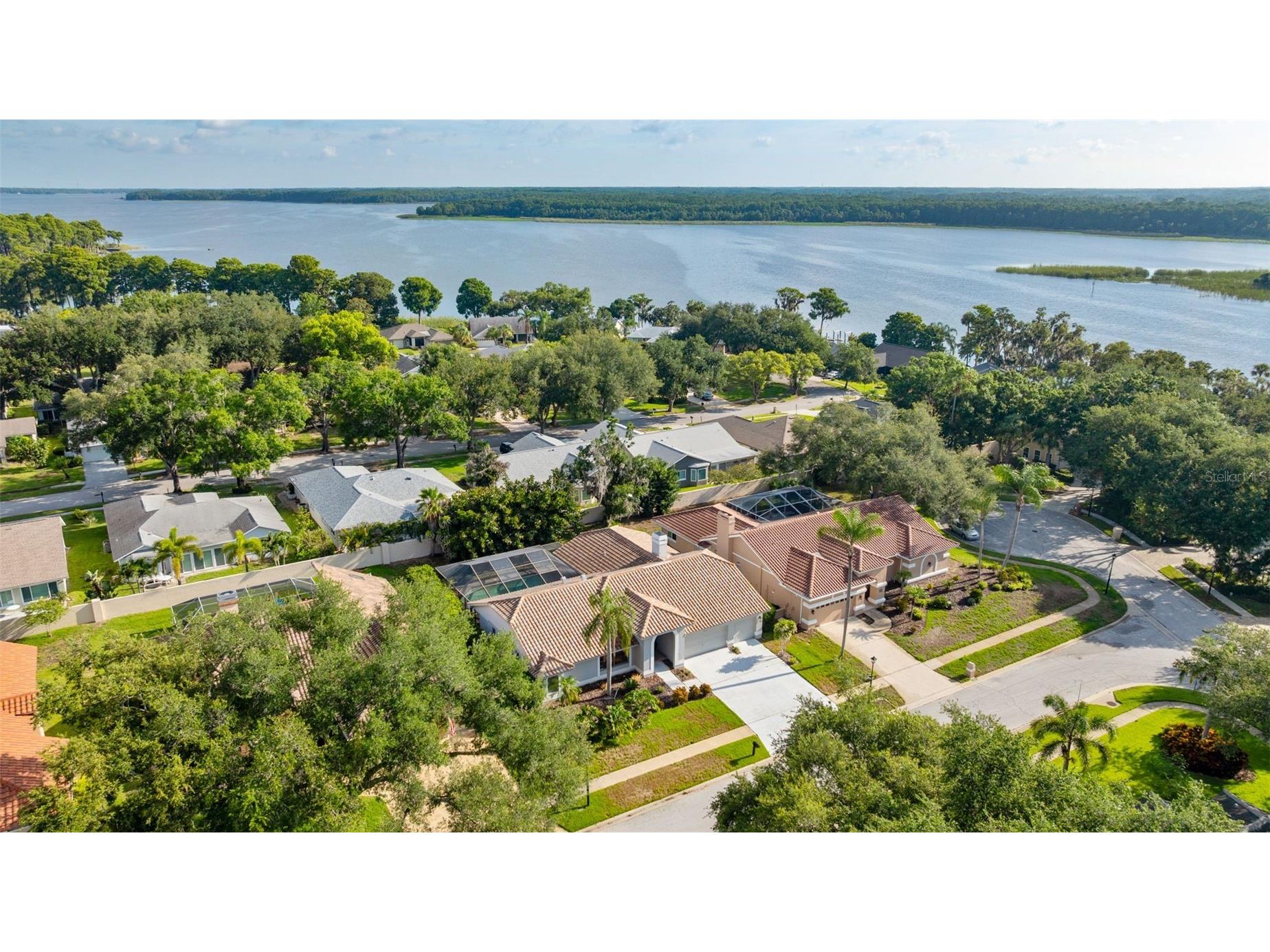 3969 Talah Drive Palm Harbor FL 34684 TB8522671 image10