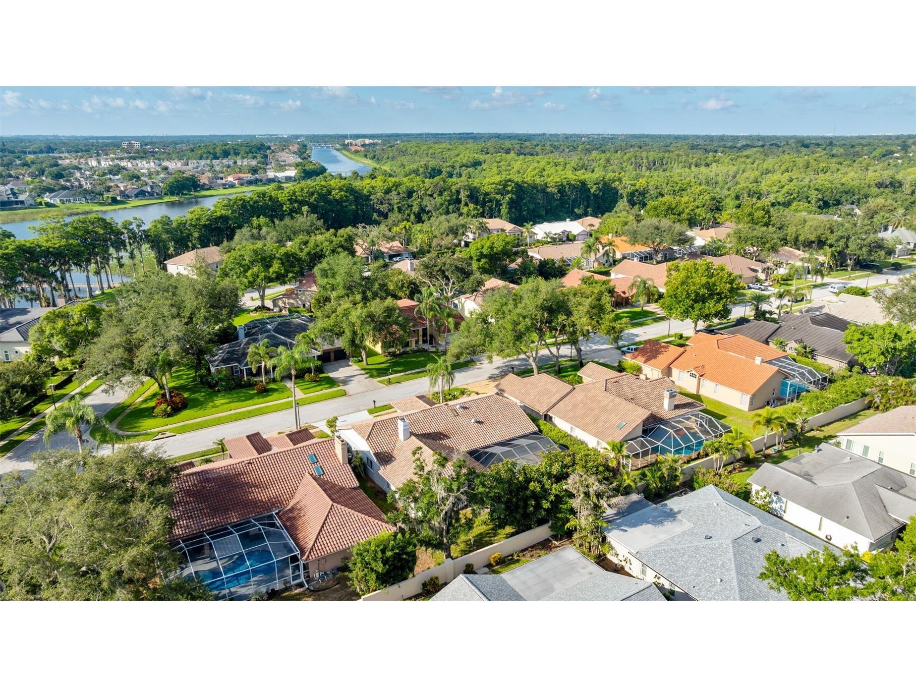 3969 Talah Drive Palm Harbor FL 34684 TB8522671 image11