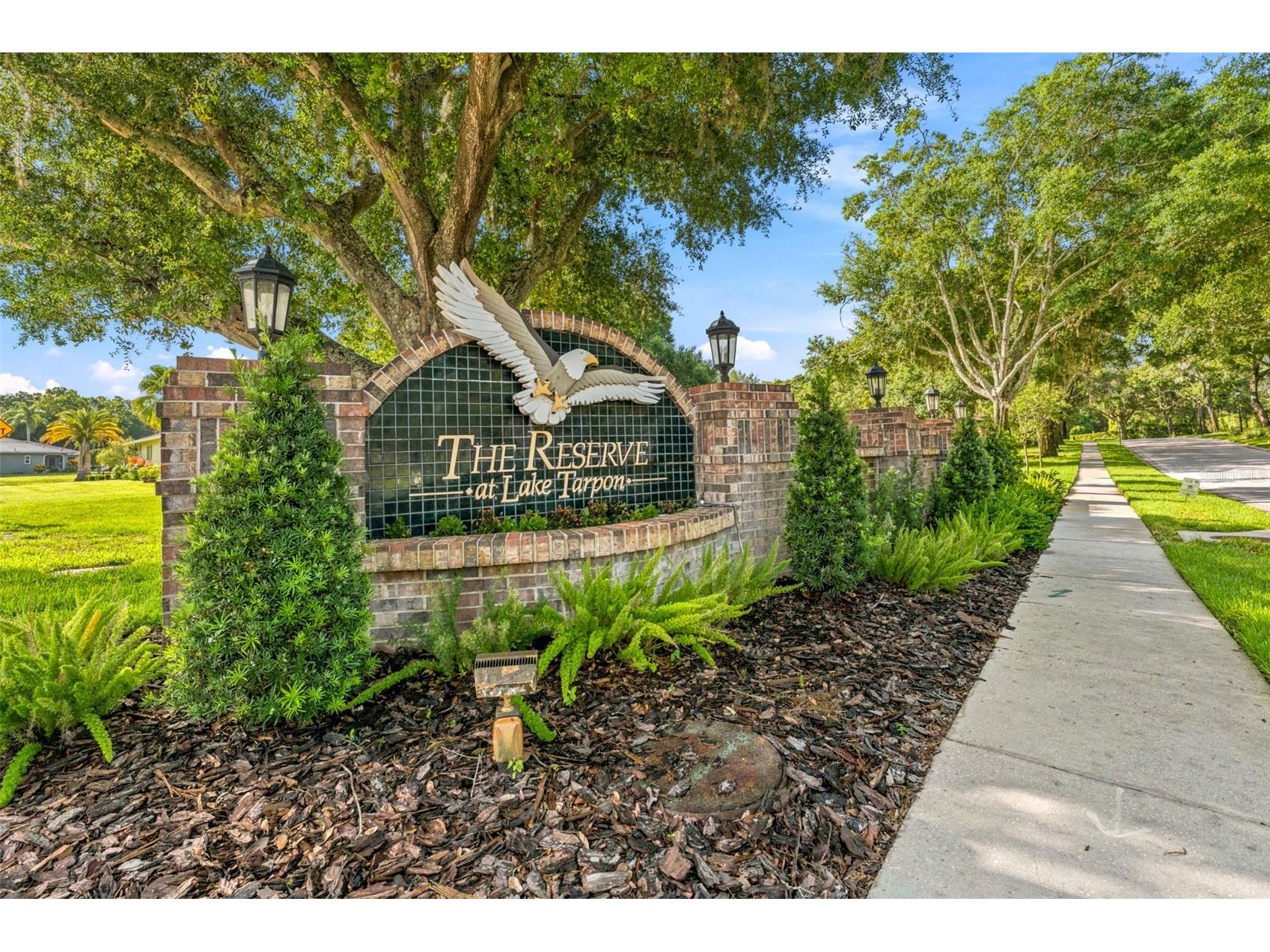 3969 Talah Drive Palm Harbor FL 34684 TB8522671 image13