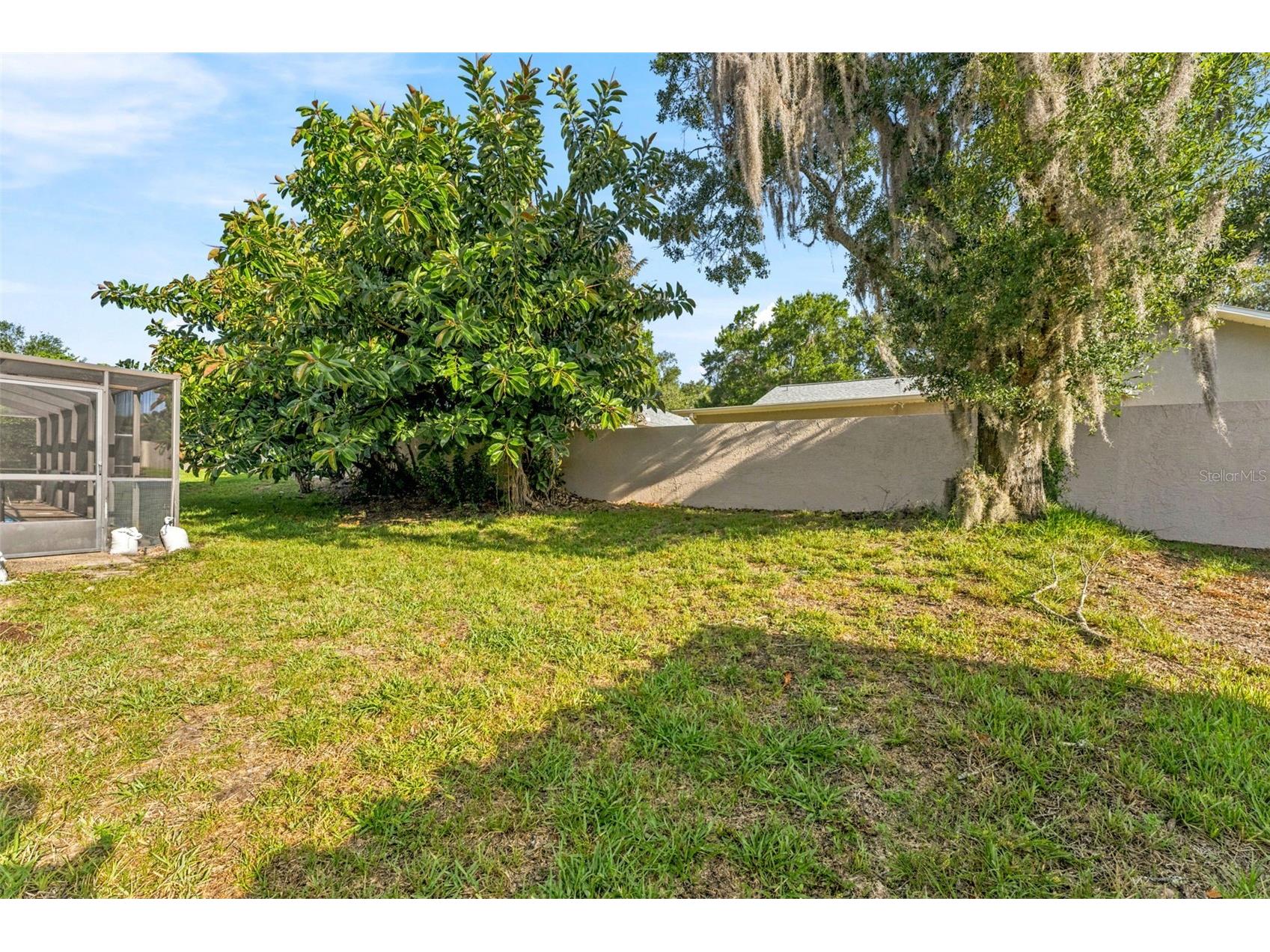 3969 Talah Drive Palm Harbor FL 34684 TB8522671 image6
