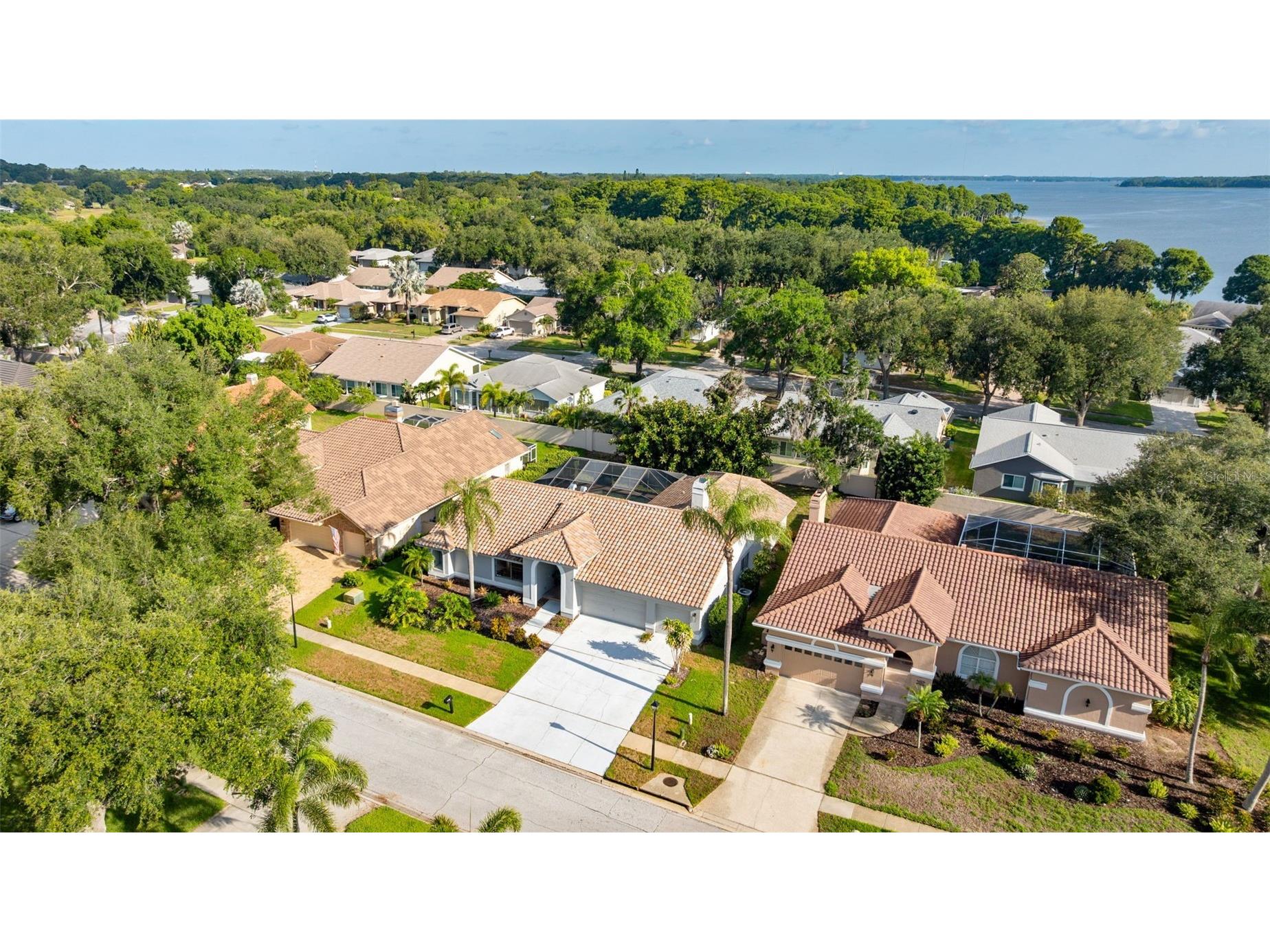 3969 Talah Drive Palm Harbor FL 34684 TB8522671 image9