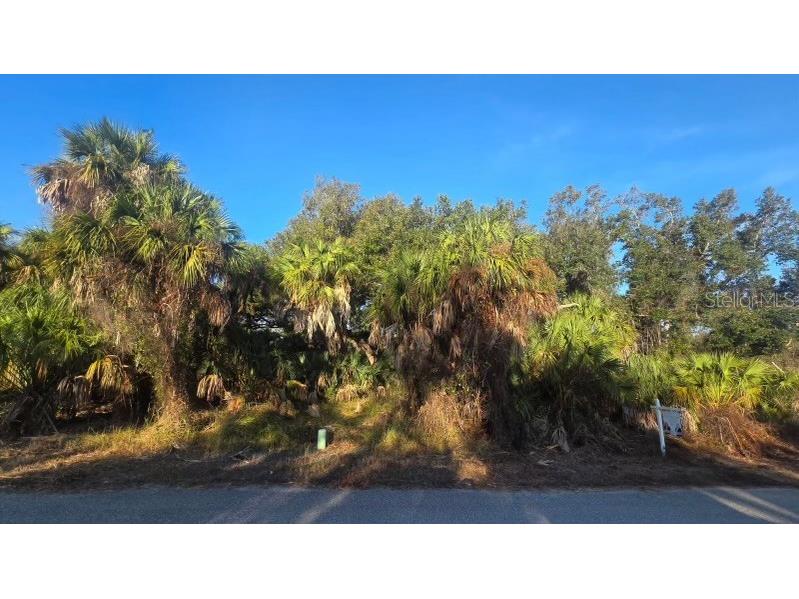 397 Kezar Street Port Charlotte FL 33954 C7499044 image8