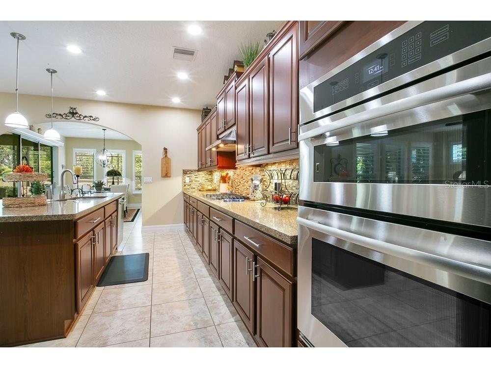 397 Silver Maple Road Groveland FL 34736 O6413580 image15