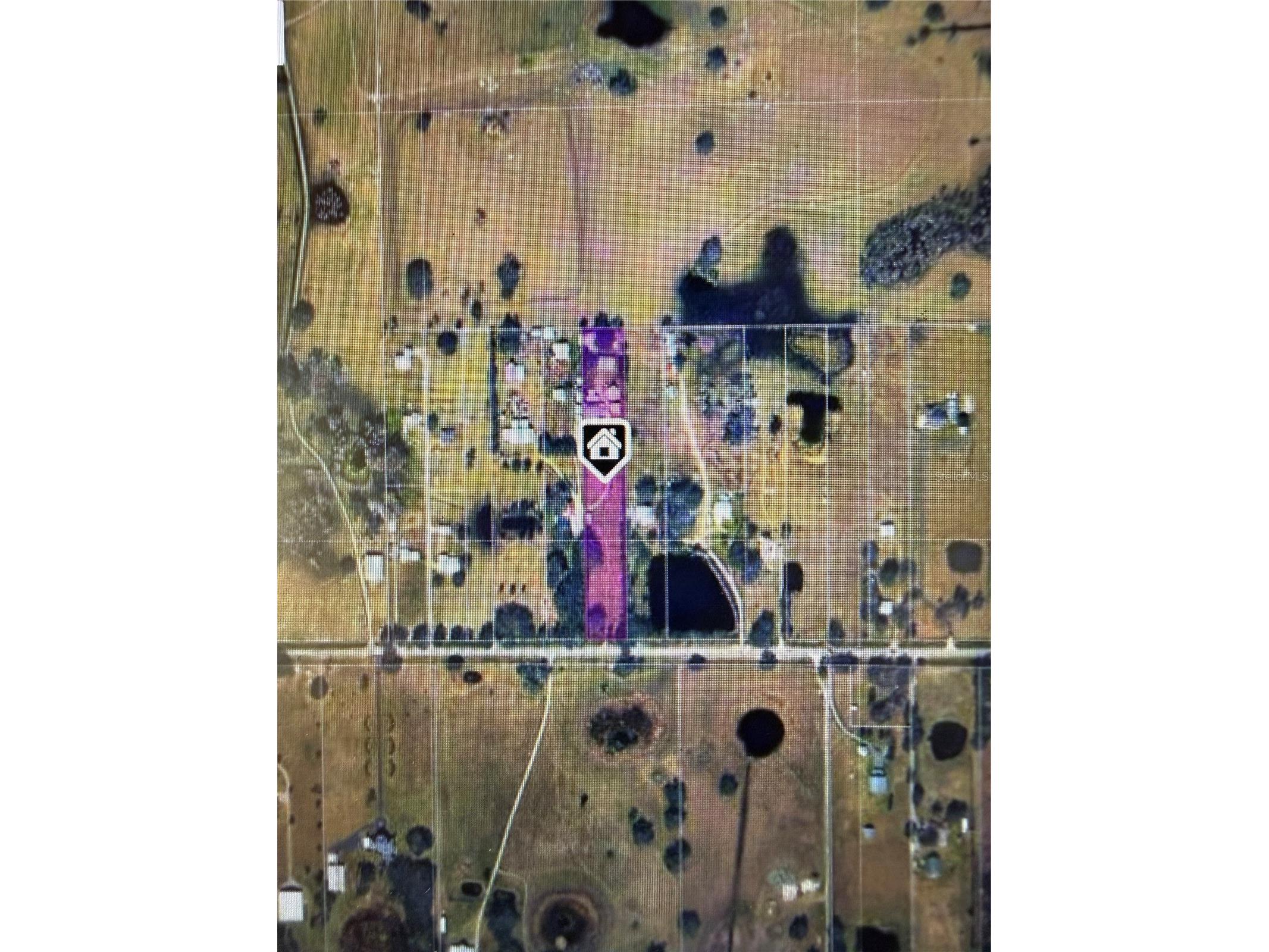 3970 E Knights Griffin Road Plant City FL 33565 TB8476640 image20