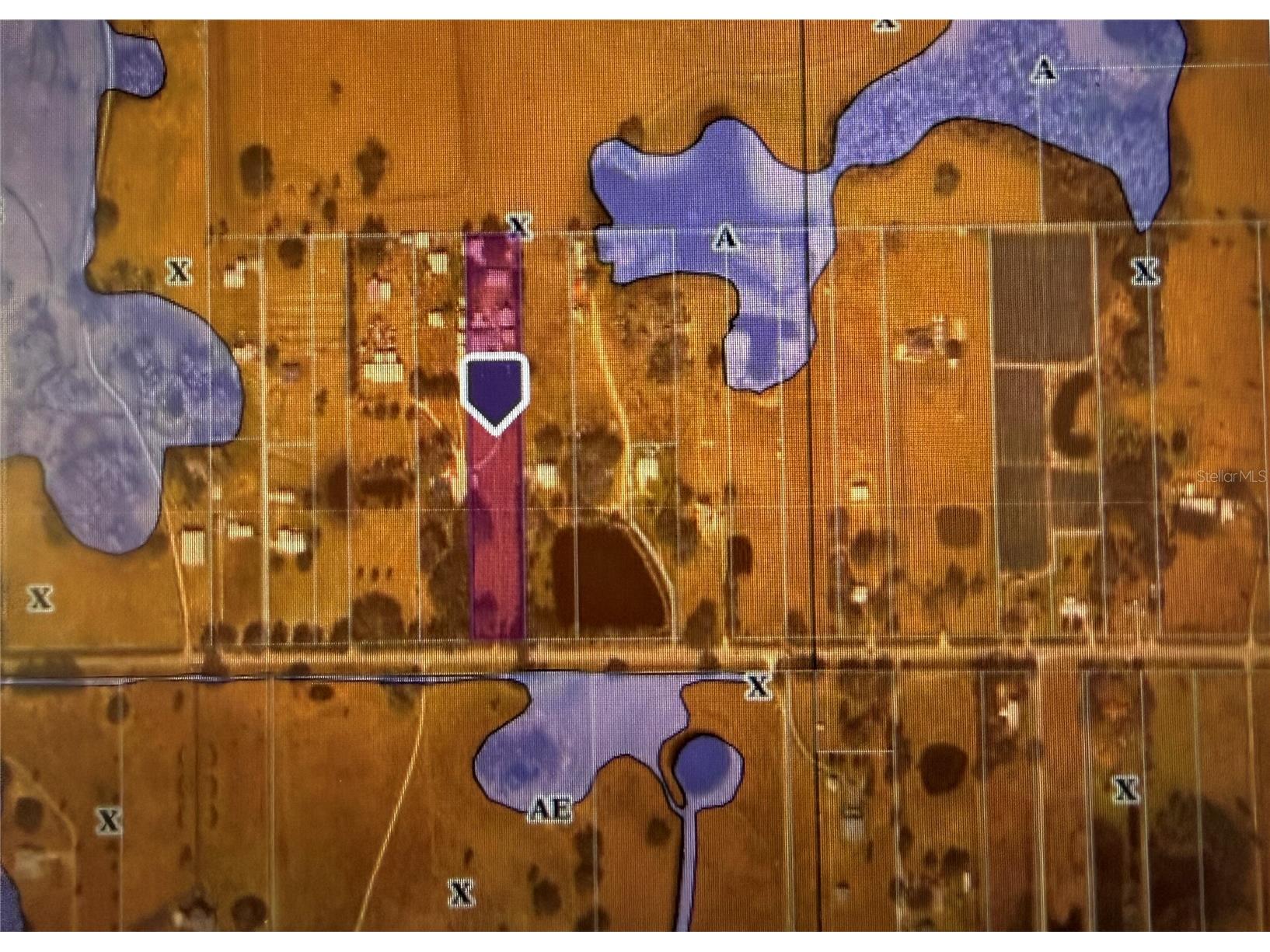 3970 E Knights Griffin Road Plant City FL 33565 TB8476640 image21