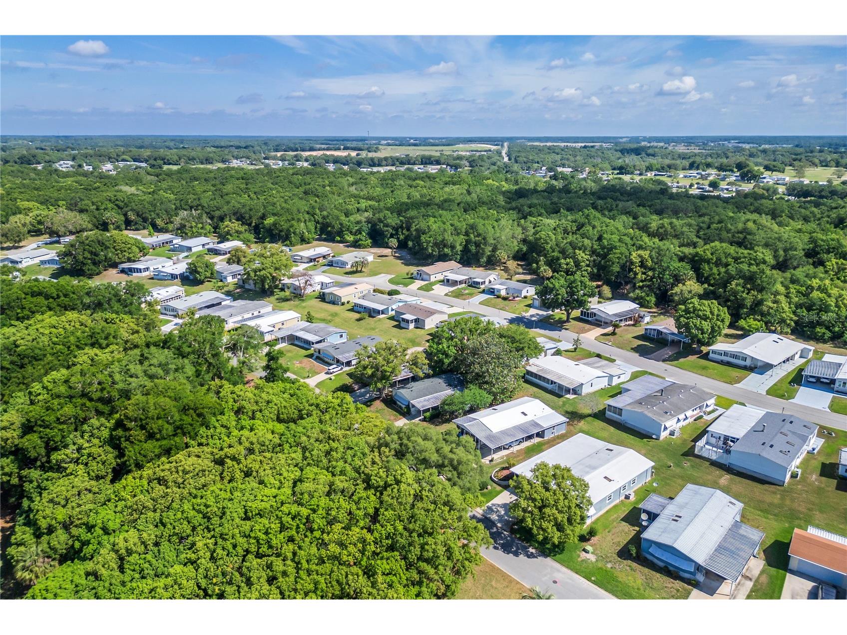3971 Cohen Drive #739 Zellwood FL 32798 O6404785 image36