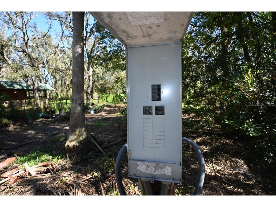 39716 Tworut Road Webster FL 33597 - WITHALACOOCHEE RIVER TB8325149 image25