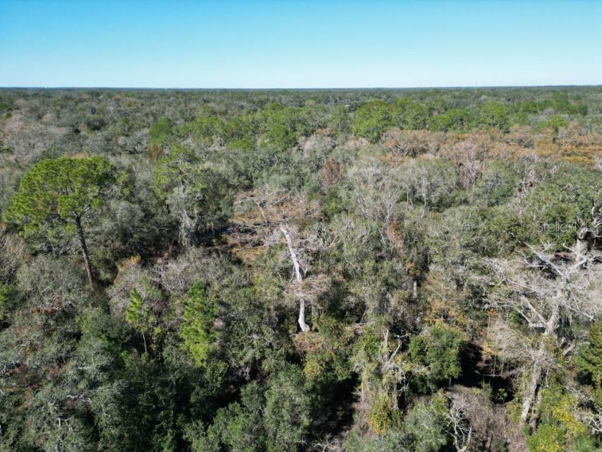 39716 Tworut Road Webster FL 33597 - WITHALACOOCHEE RIVER TB8325149 image30