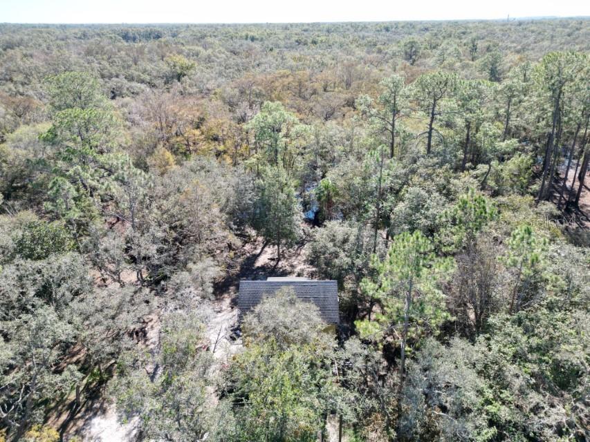 39716 Tworut Road Webster FL 33597 - WITHALACOOCHEE RIVER TB8325149 image31