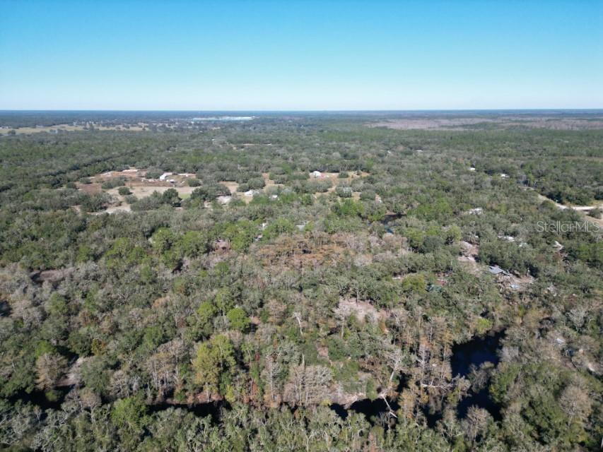 39716 Tworut Road Webster FL 33597 - WITHALACOOCHEE RIVER TB8325149 image35